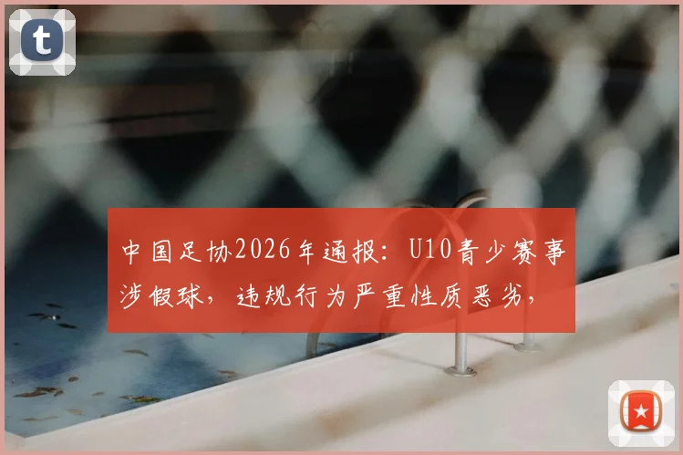 中国足协2026年通报:U10青少赛事涉假球,违规行为严重性质恶劣,调查与后续处理全面解读